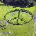 Peace Sign made from trees North of Lakeland 10/19/16